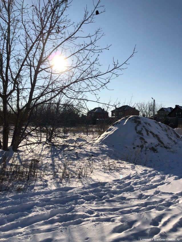 Солнечные пейзажи зимы — Болталка и разговоры обо всем: жизнь