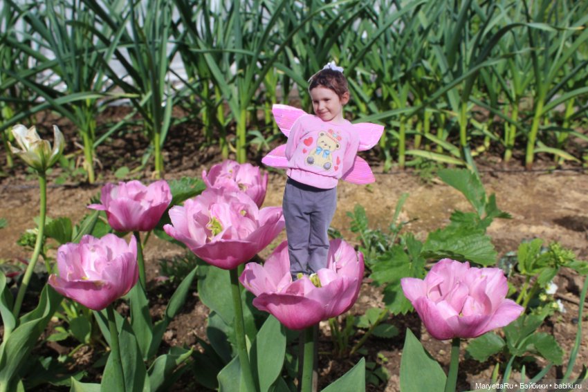 Викафея — Как красиво фотографировать кукол дома: свет