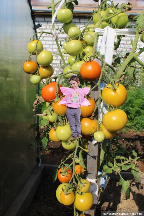 Викафея — Как красиво фотографировать кукол дома: свет
