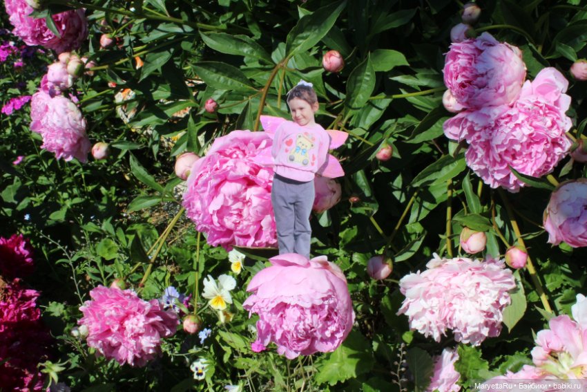 Викафея — Как красиво фотографировать кукол дома: свет (фото 7)