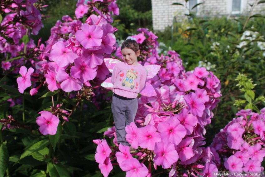 Викафея — Как красиво фотографировать кукол дома: свет