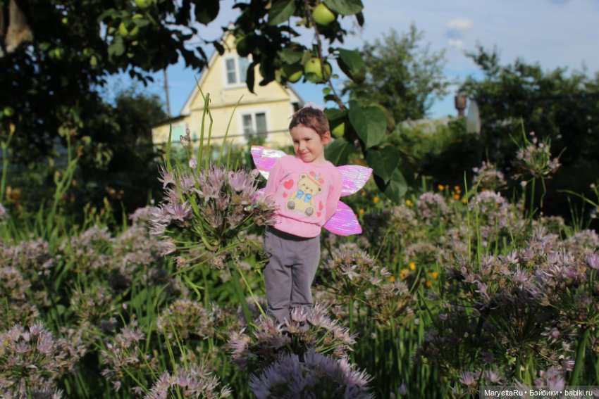 Викафея — Как красиво фотографировать кукол дома: свет