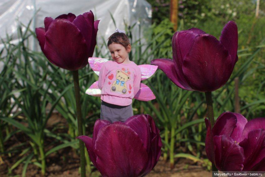 Викафея — Как красиво фотографировать кукол дома: свет