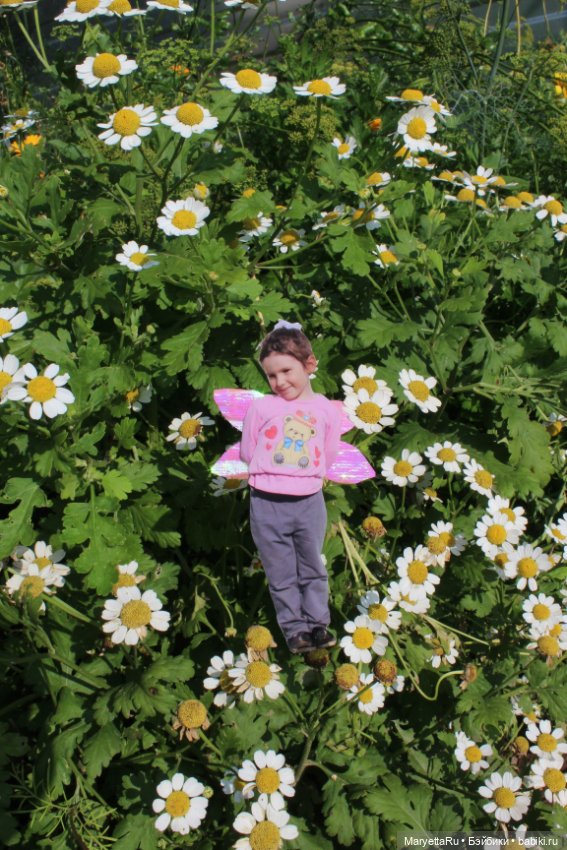 Викафея — Как красиво фотографировать кукол дома: свет