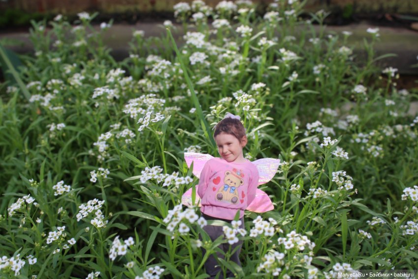 Викафея — Как красиво фотографировать кукол дома: свет