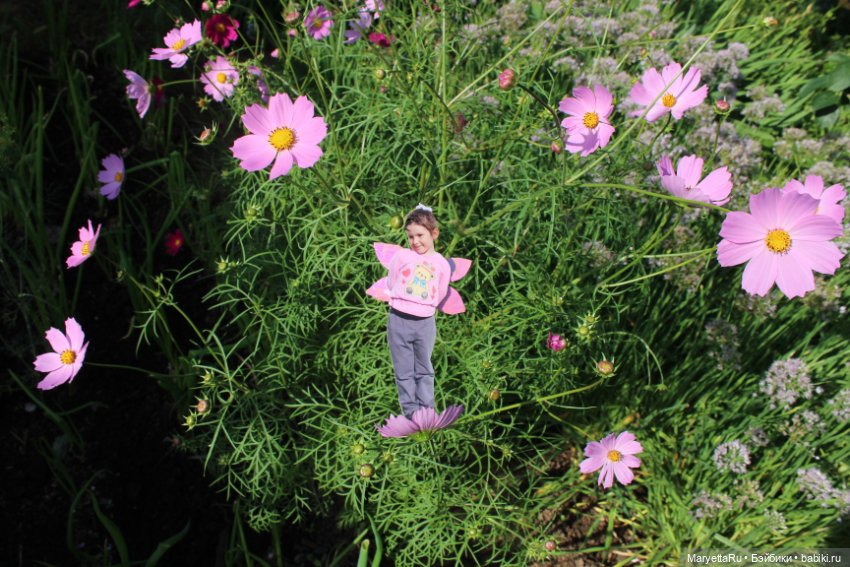 Викафея — Как красиво фотографировать кукол дома: свет