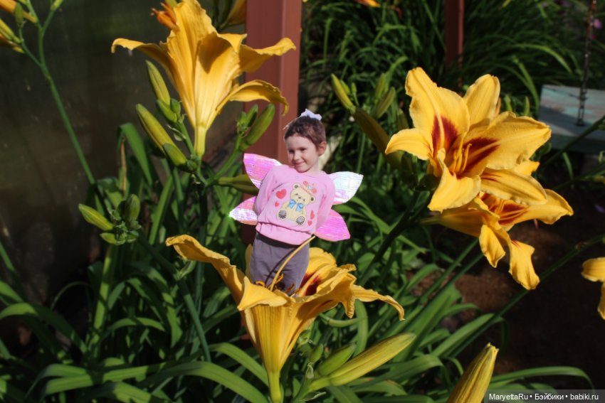 Викафея — Как красиво фотографировать кукол дома: свет