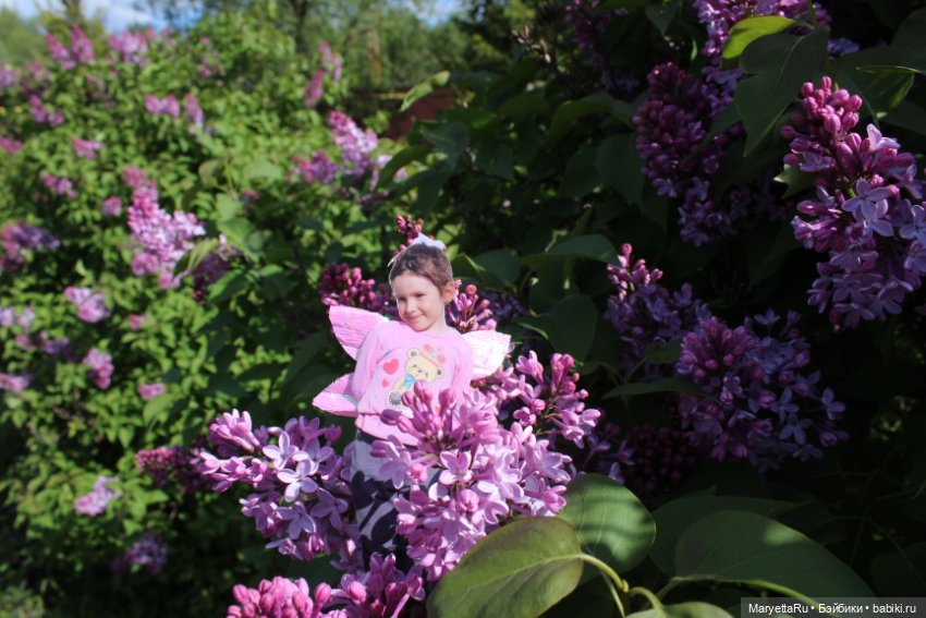 Викафея — Как красиво фотографировать кукол дома: свет