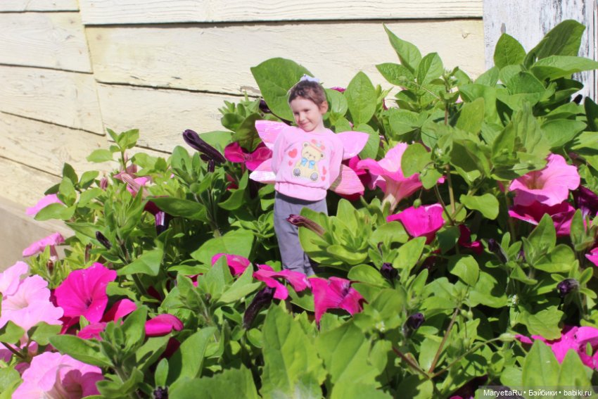 Викафея — Как красиво фотографировать кукол дома: свет (фото 6)