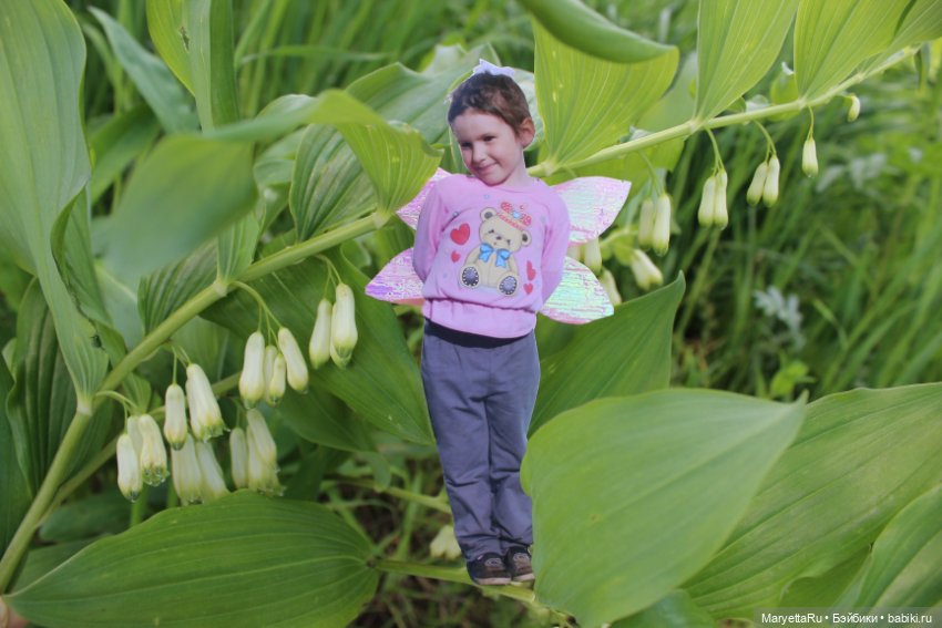 Викафея — Как красиво фотографировать кукол дома: свет