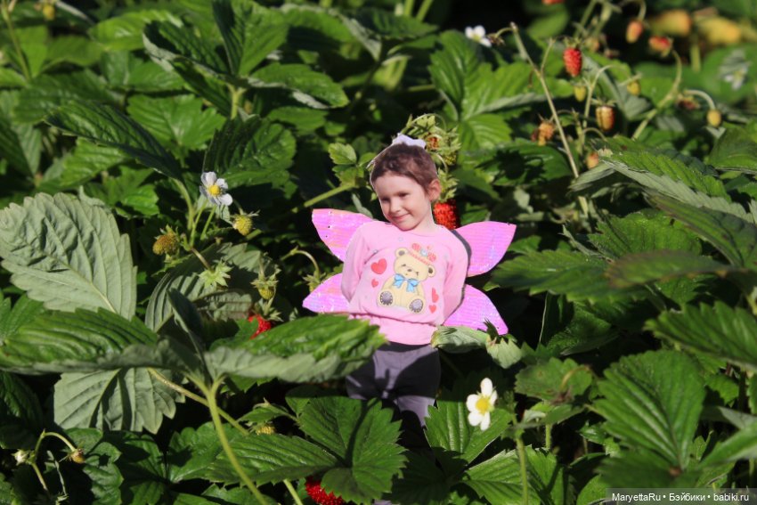 Викафея — Как красиво фотографировать кукол дома: свет