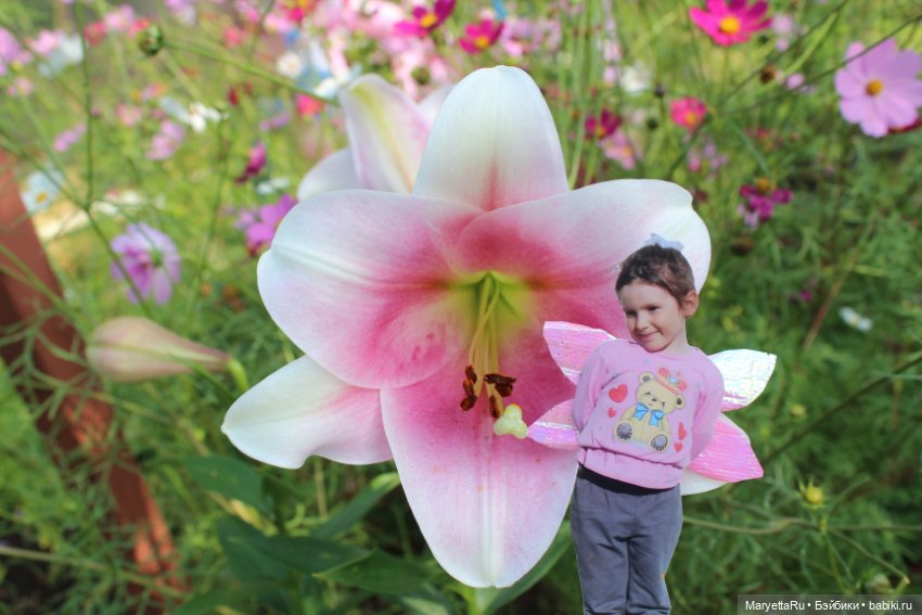 Викафея — Как красиво фотографировать кукол дома: свет