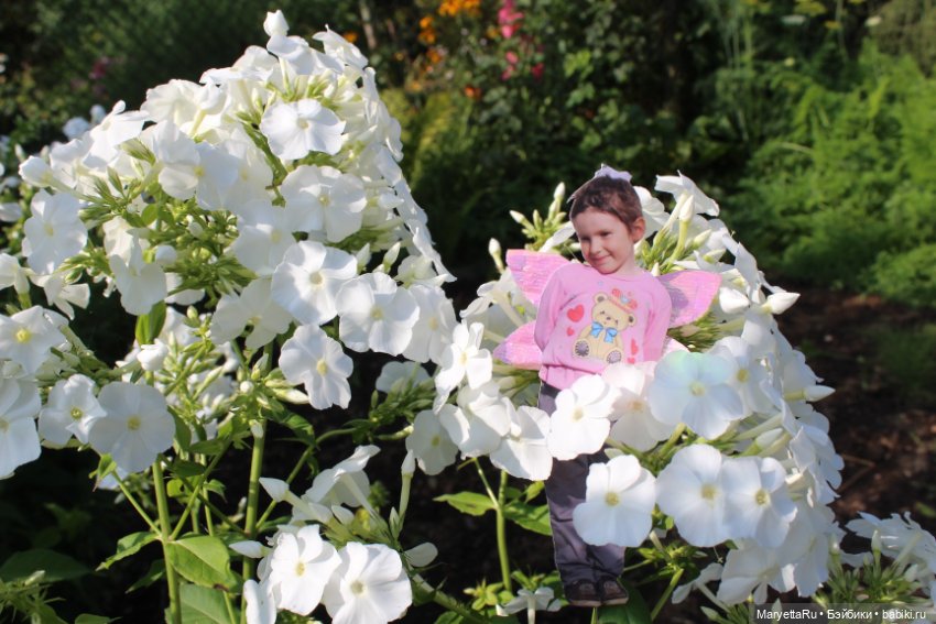 Викафея — Как красиво фотографировать кукол дома: свет