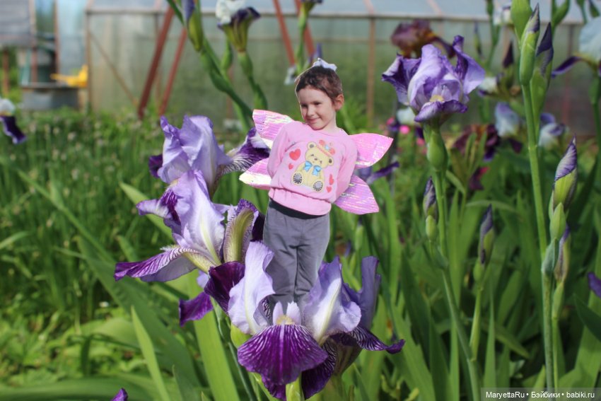 Викафея — Как красиво фотографировать кукол дома: свет (фото 2)