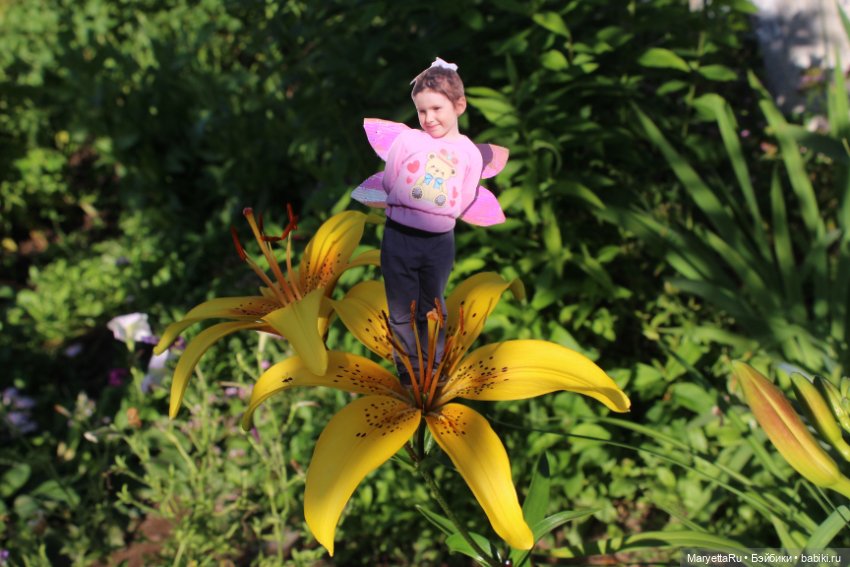 Викафея — Как красиво фотографировать кукол дома: свет