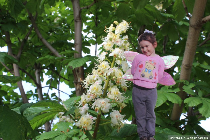 Викафея — Как красиво фотографировать кукол дома: свет
