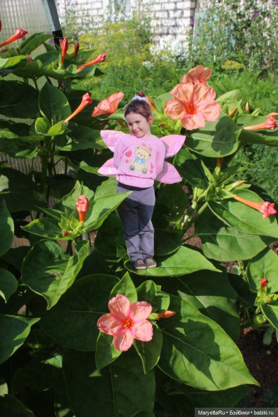 Викафея — Как красиво фотографировать кукол дома: свет