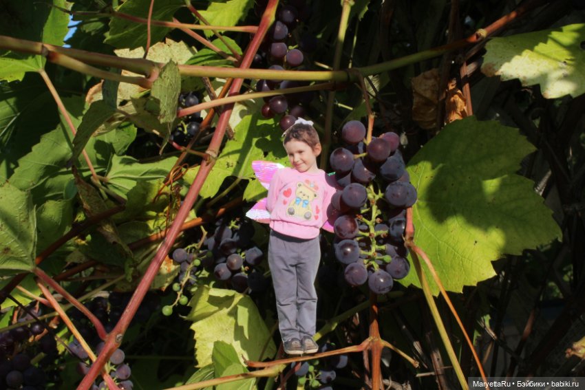 Викафея — Как красиво фотографировать кукол дома: свет