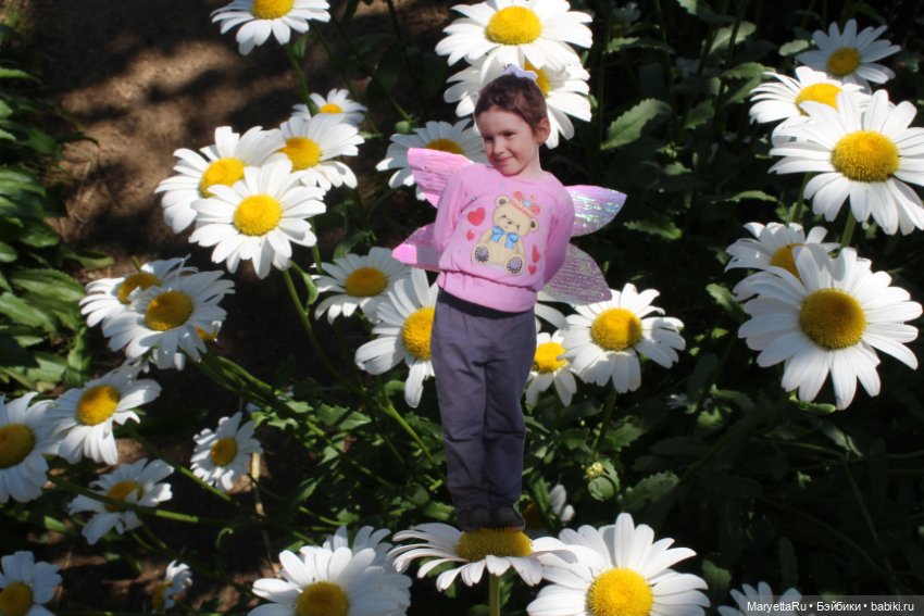 Викафея — Как красиво фотографировать кукол дома: свет (фото 4)