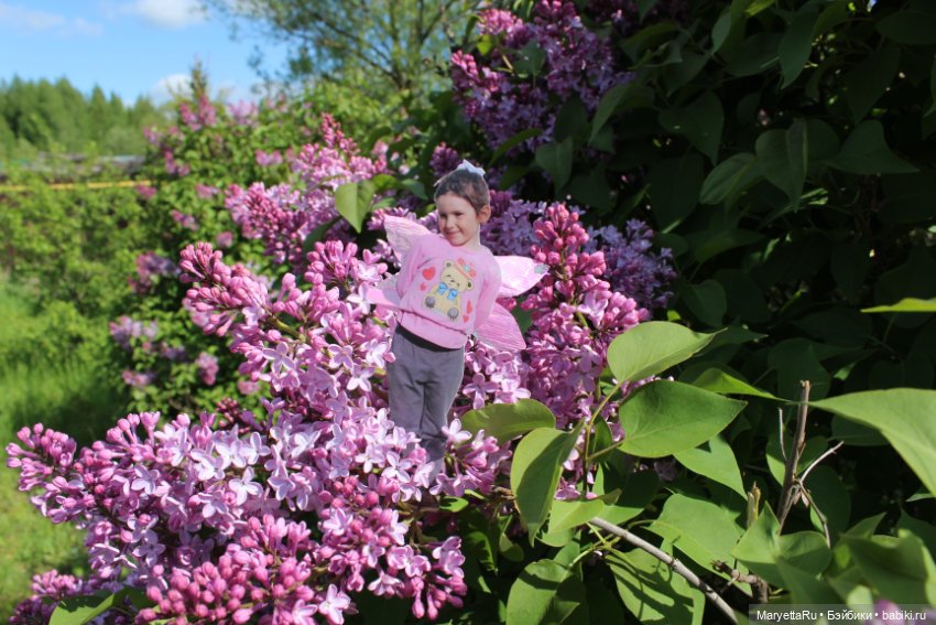 Викафея — Как красиво фотографировать кукол дома: свет