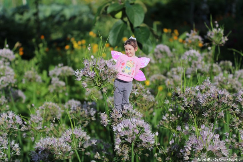 Викафея — Как красиво фотографировать кукол дома: свет