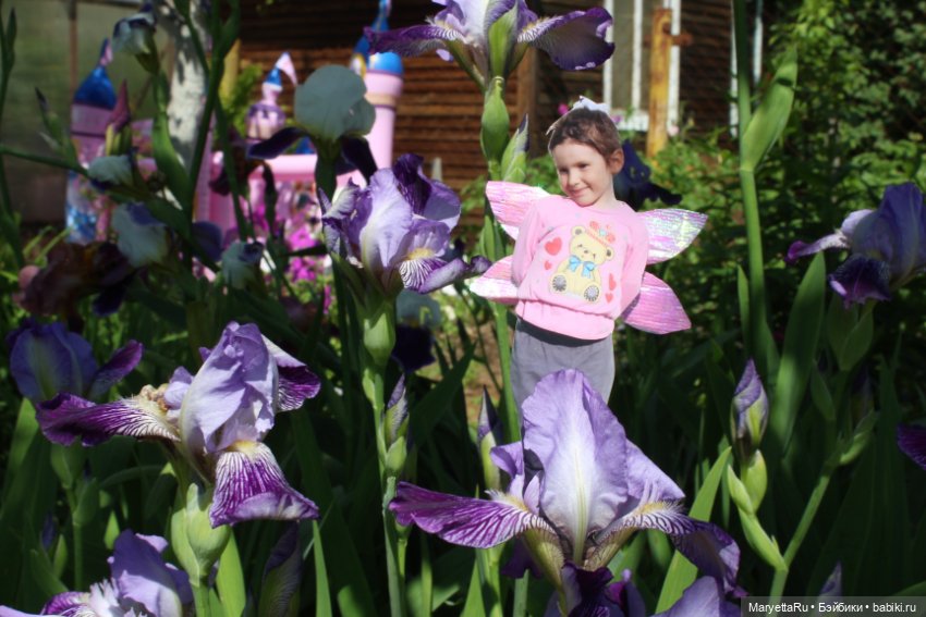 Викафея — Как красиво фотографировать кукол дома: свет