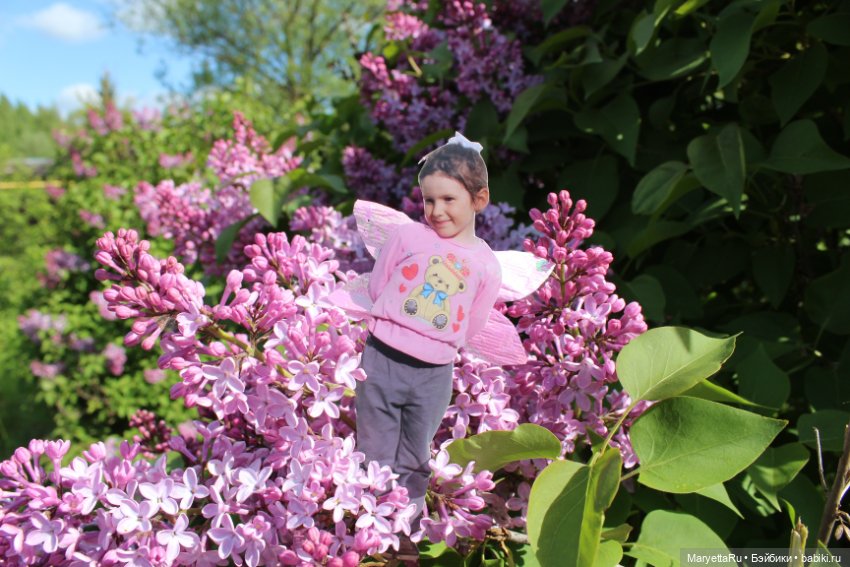 Викафея — Как красиво фотографировать кукол дома: свет