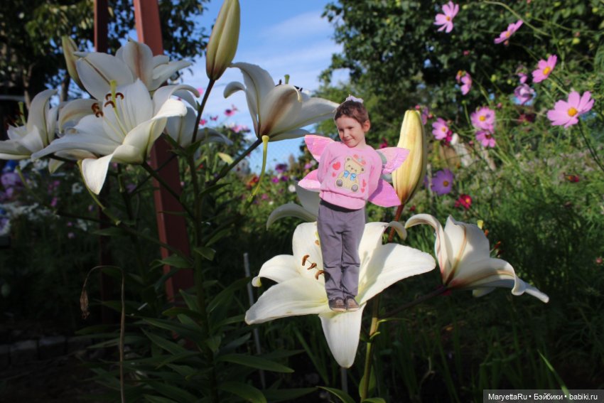 Викафея — Как красиво фотографировать кукол дома: свет