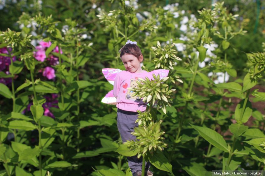 Викафея — Как красиво фотографировать кукол дома: свет