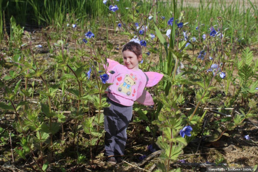 Викафея — Как красиво фотографировать кукол дома: свет