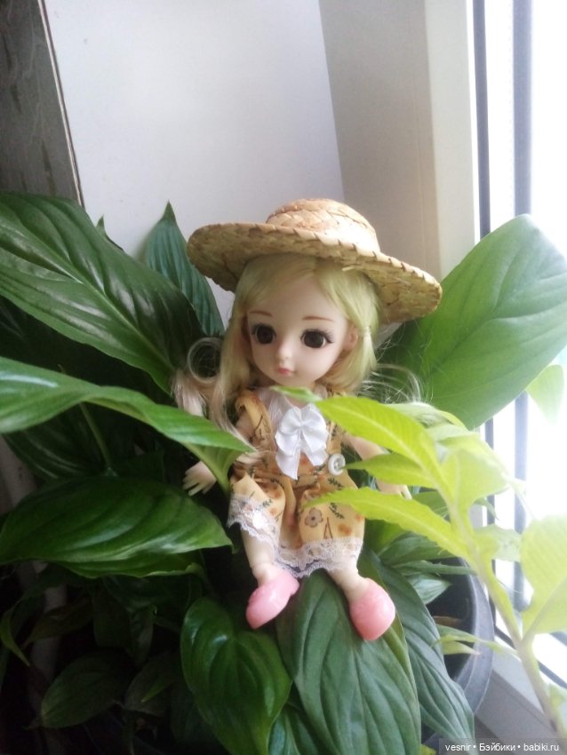 Кларисса Пинкола Эстес о куколках (фото 5)