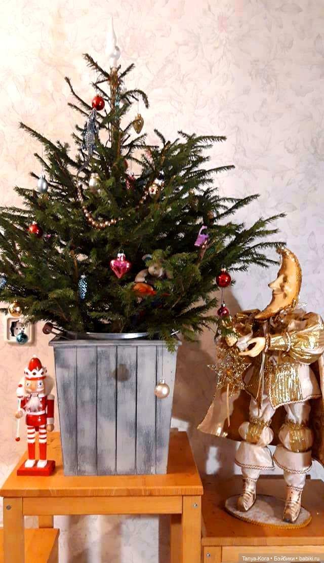 Елочка, елочка, зеленые иголочки (фото 2)