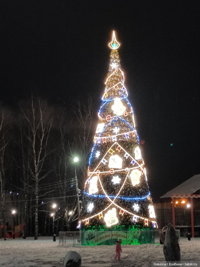 Привет из Великого Устюга (фото 3)