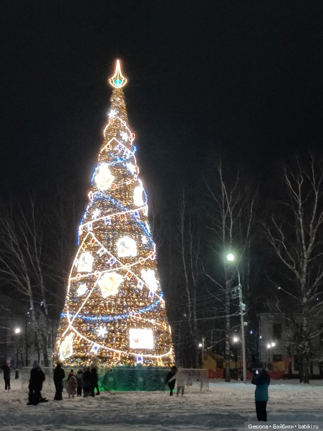 Привет из Великого Устюга (фото 4)