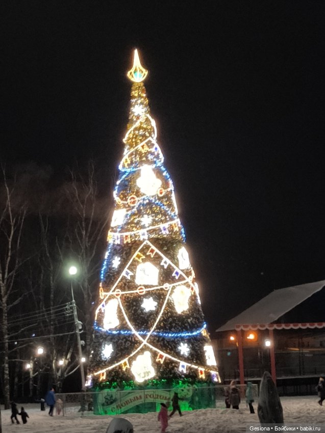 Привет из Великого Устюга (фото 2)