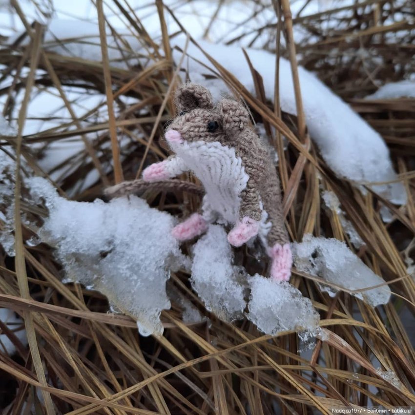 Связала символ уходящего года (фото 3)