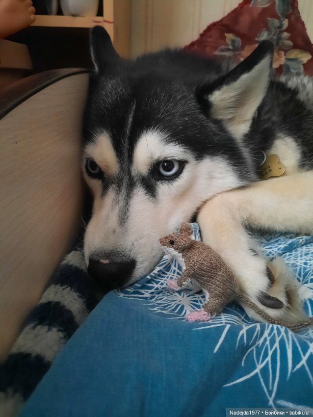 Связала символ уходящего года