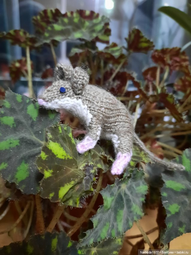 Связала символ уходящего года