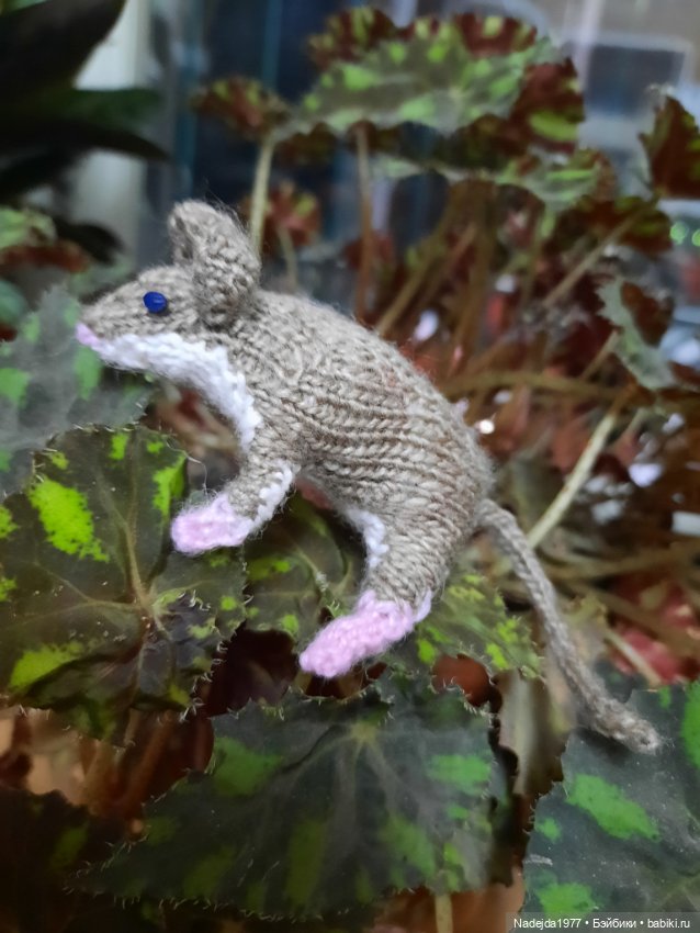 Связала символ уходящего года