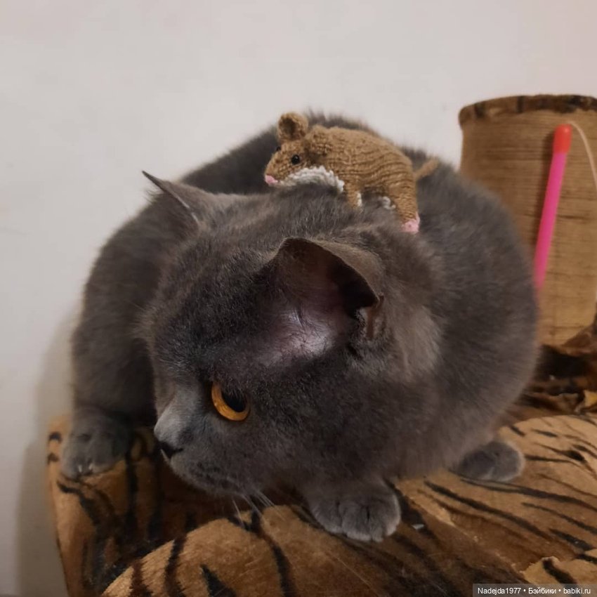 Связала символ уходящего года (фото 7)