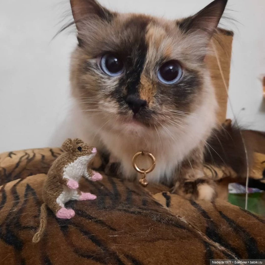 Связала символ уходящего года (фото 5)