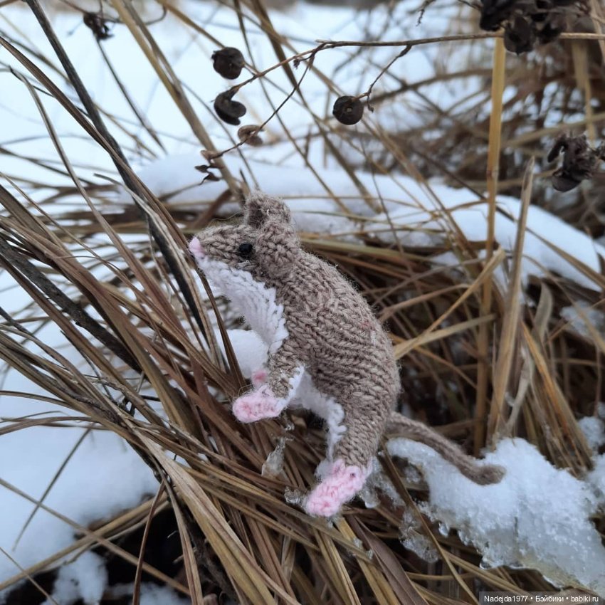 Связала символ уходящего года (фото 2)