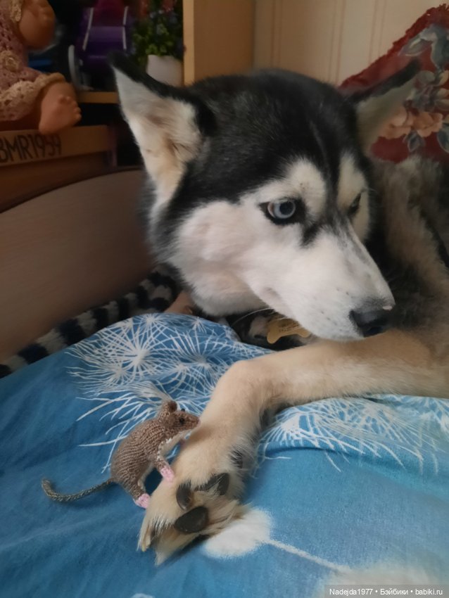 Связала символ уходящего года