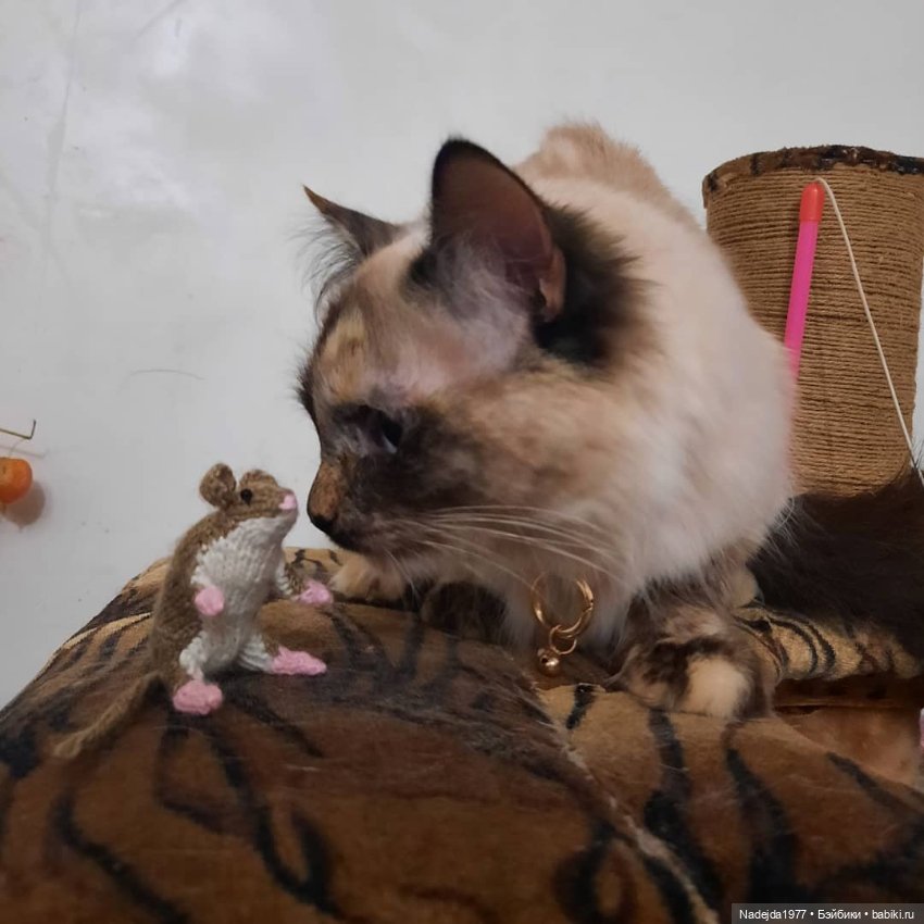 Связала символ уходящего года (фото 6)