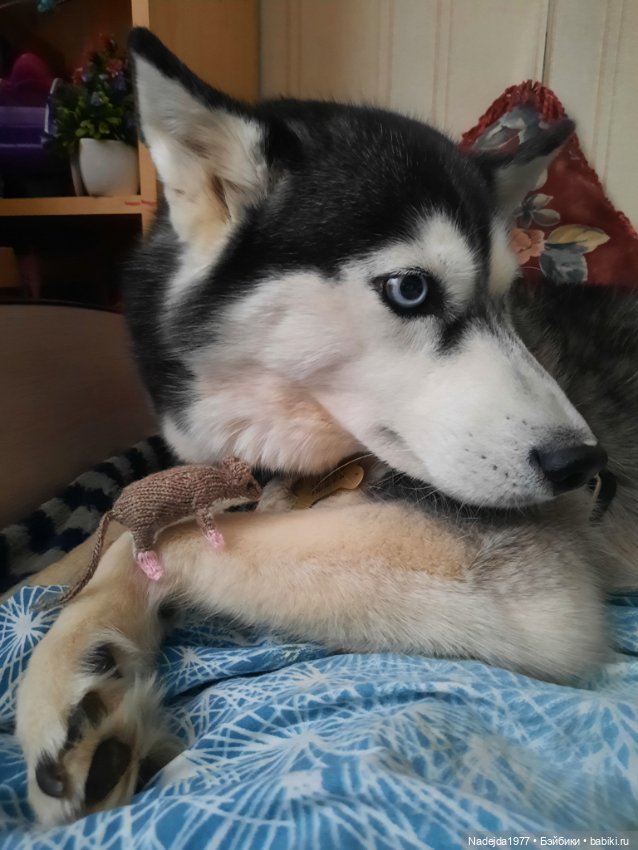 Связала символ уходящего года