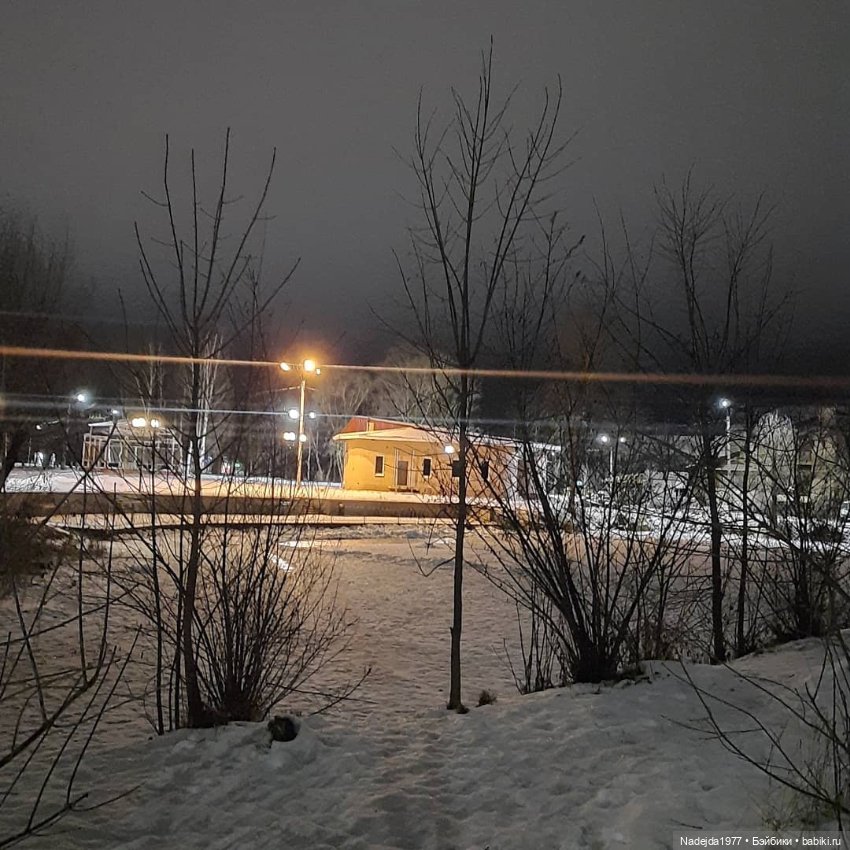 Связала символ уходящего года