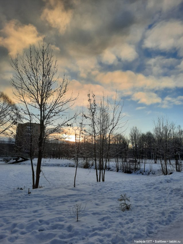 Связала символ уходящего года