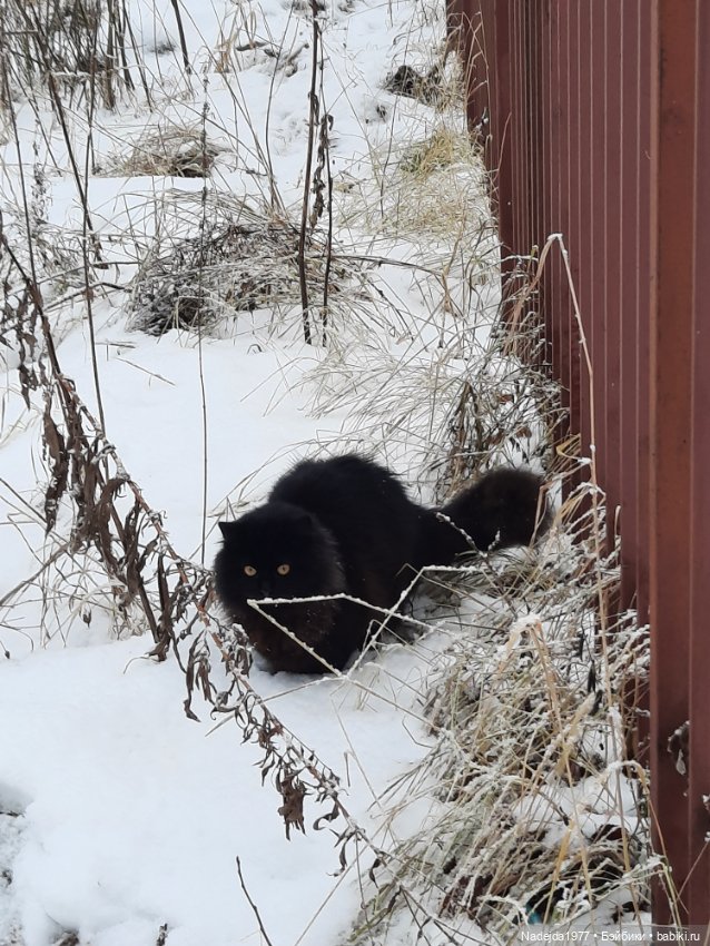 Связала символ уходящего года