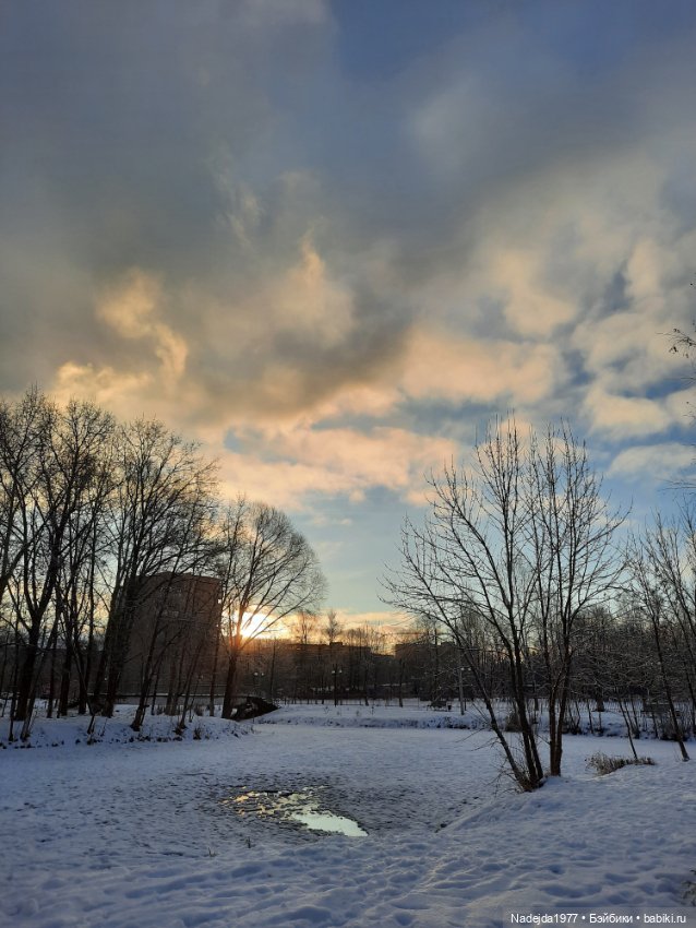 Связала символ уходящего года