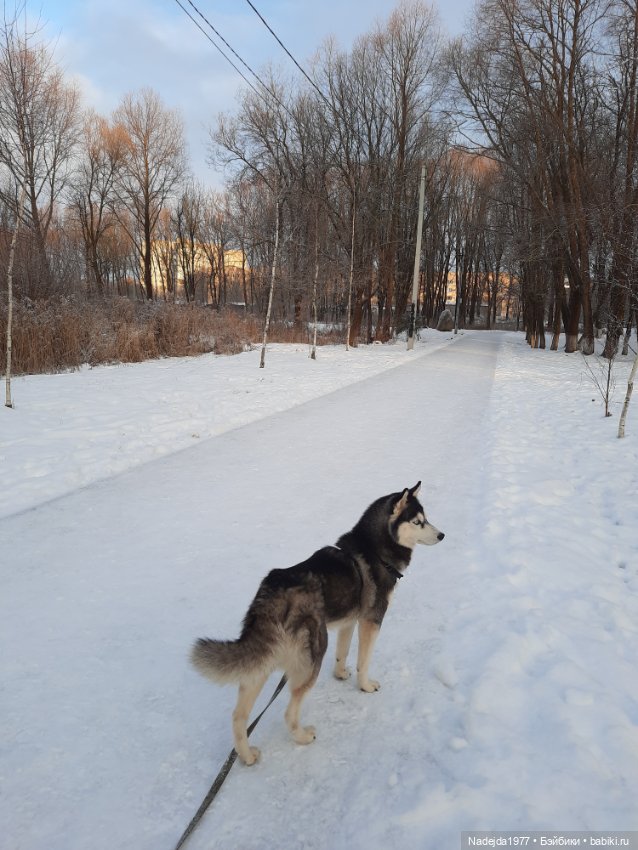 Связала символ уходящего года